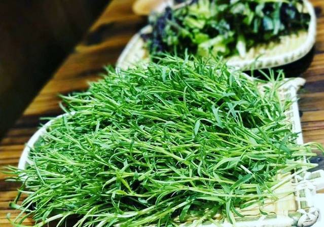 滇藏石锅宴(崇仁巷老店)