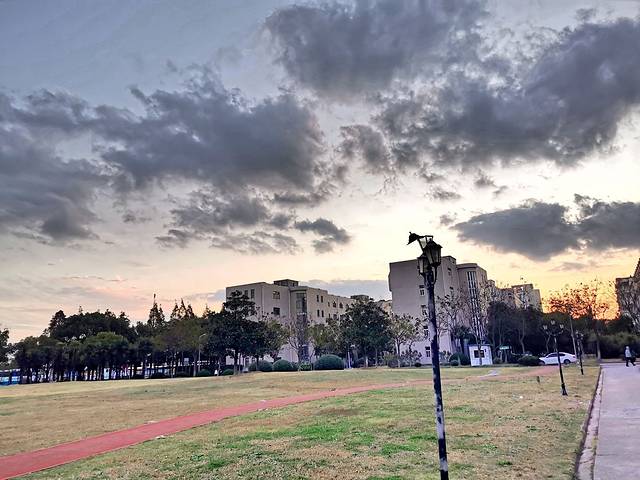 上海师范大学(奉贤校区)-樱花园