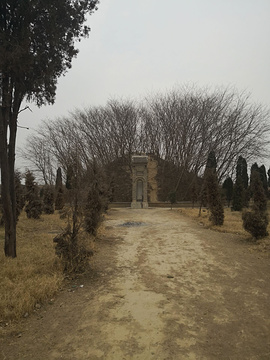 菏泽谷林尧陵的图片