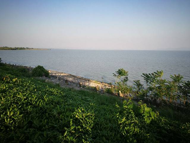 月亮湾湿地公园