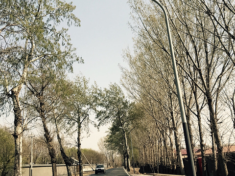 潞城中心公园旅游景点图片