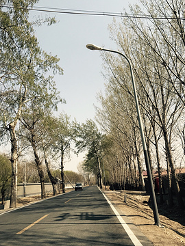 潞城中心公园的图片