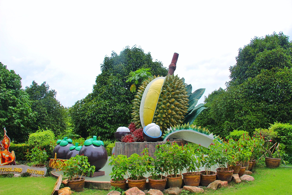 泰国热带水果园