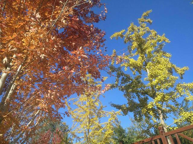 莲花河城市休闲公园