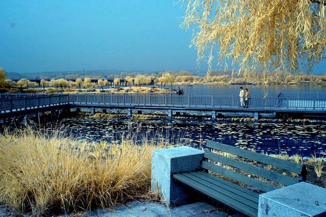 河南伊川伊河国家湿地公园