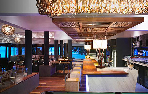 Reef Bar