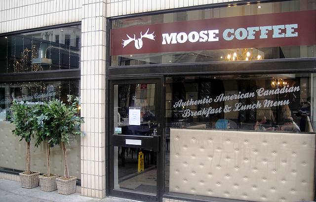 Moose Coffee