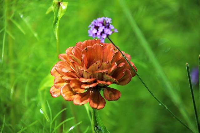 阿克苏多浪河国家湿地公园