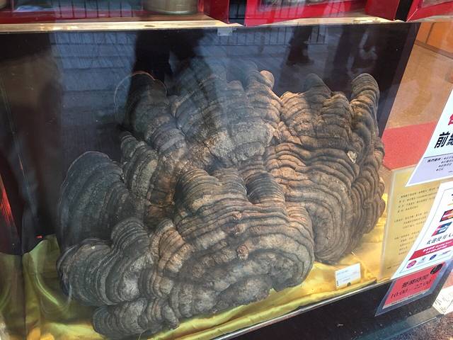 北京同仁堂（龙琛路店）