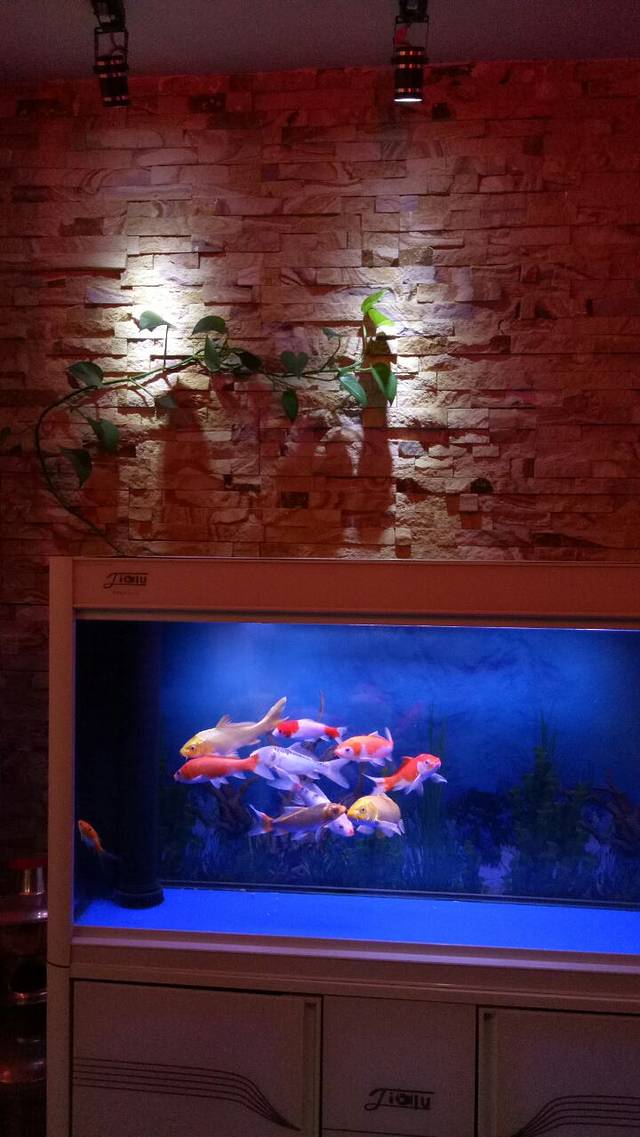 宏宾楼传统涮(名仕嘉园店)