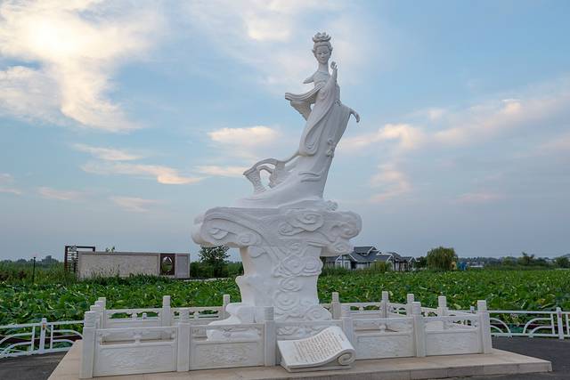 金湖荷花荡景区