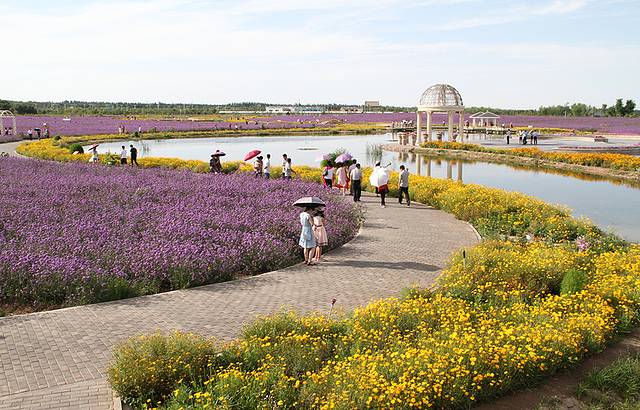 紫荆花卉广场-紫金花城基地景区