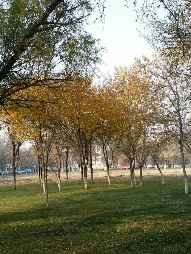 伊宁城市海景公园