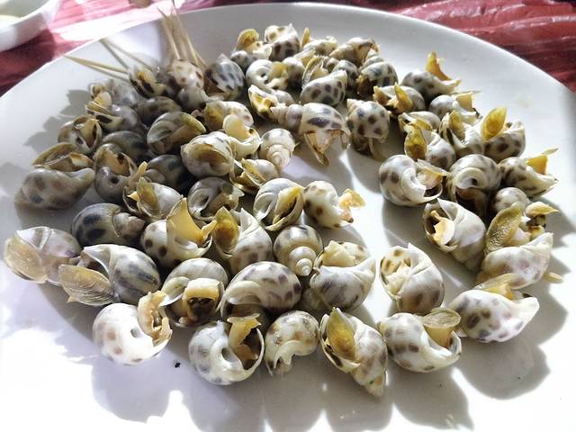 清澜半岛航天渔人码头