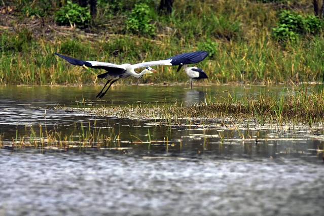 蒲阳绿荫公园(长荆公园)