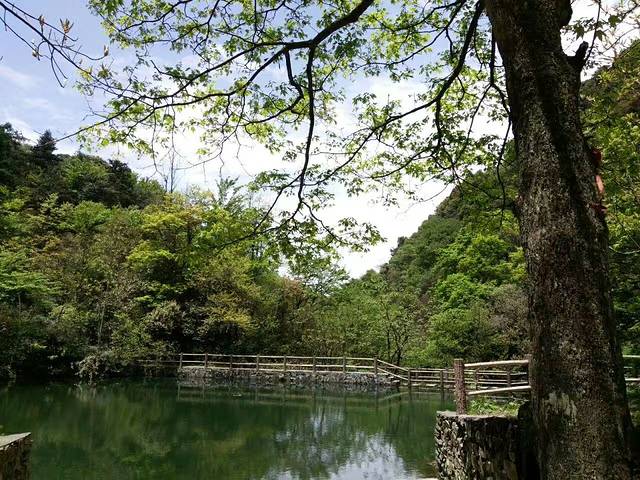 云山国家森林公园