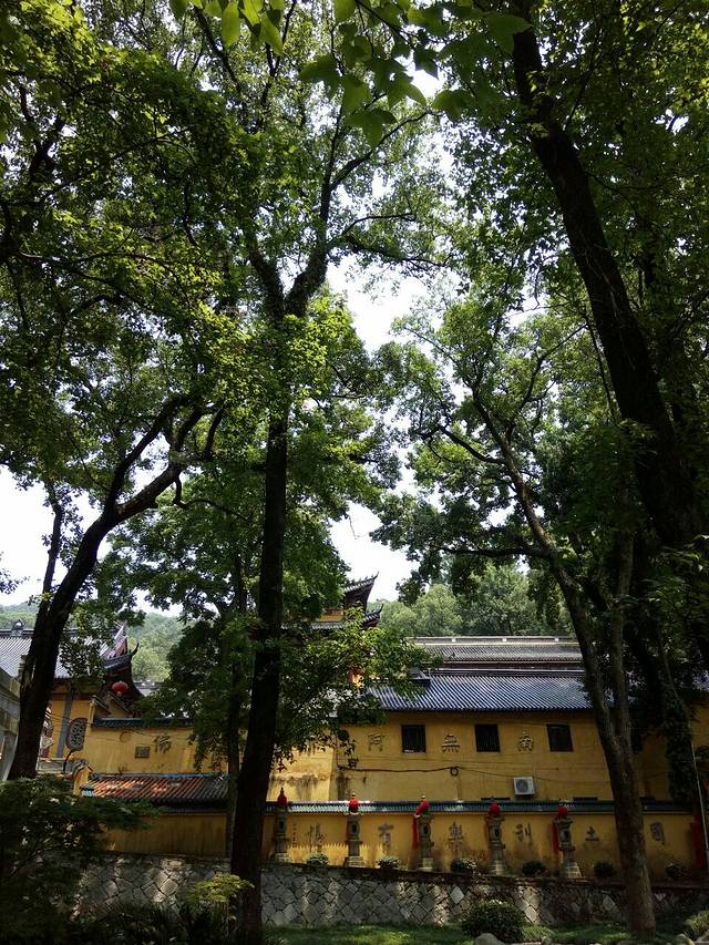 江厦森林公园(江夏乡)