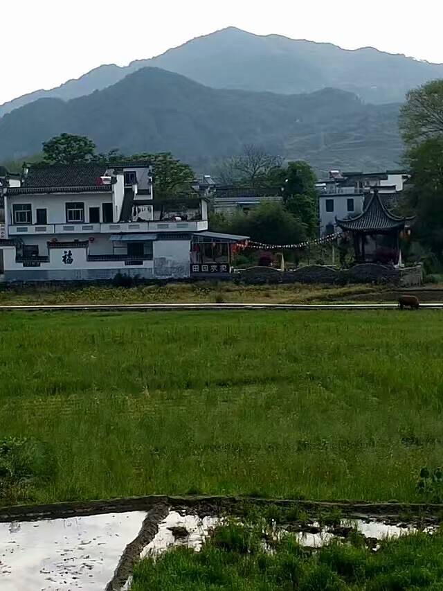 呈坎寻徽农家景观餐厅