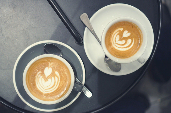 normcore coffee roasters