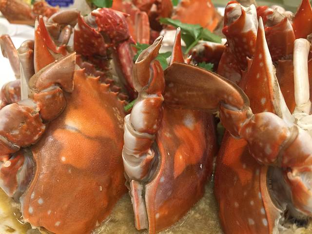 海洋酒店-时令餐厅