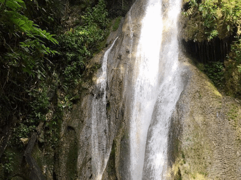 Tat Mok Waterfall旅游景点图片
