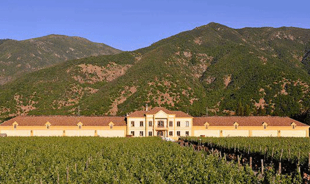 koyle family vineyards