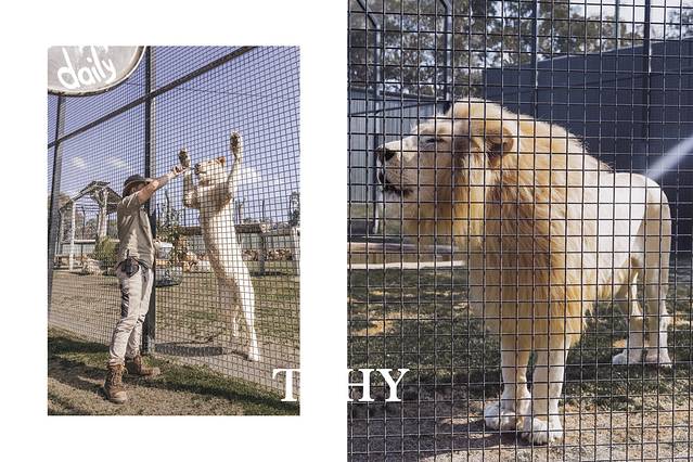 猎人谷野生动物园