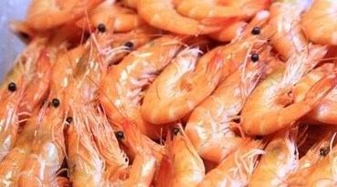 上海淳大万丽酒店·万丽咖啡厅