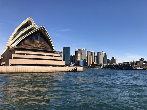 Sydney Princess Cruises