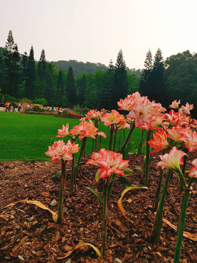 深圳市福田农产品批发市场有限公司