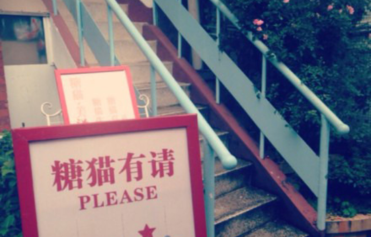 糖猫(内厝澳路店)