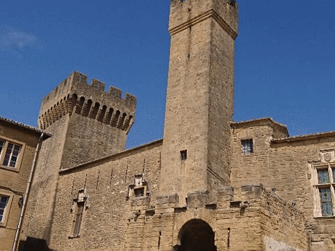 Pure Lavande - Le Château du Bois旅游景点图片