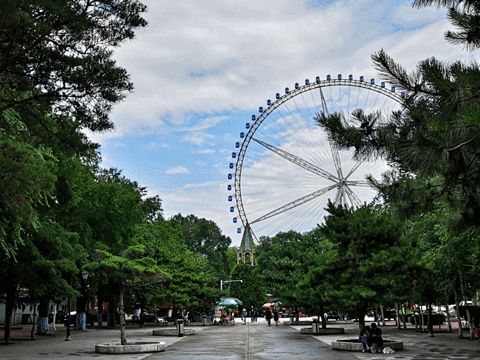 哈尔滨文化公园旅游景点图片