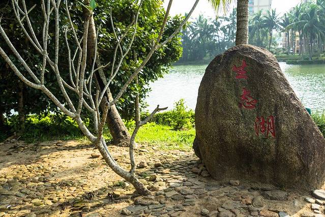 兴隆国家森林公园