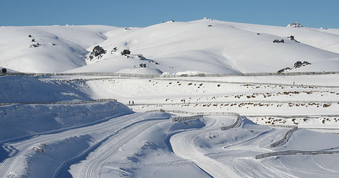 Snow Farm NZ旅游景点图片