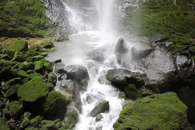 宽阔水原始森林公园