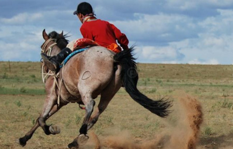 明乐农业生态庄园