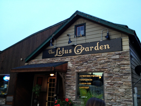 Lotus Garden的图片