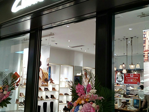 2020clarks(新玛特中街店)