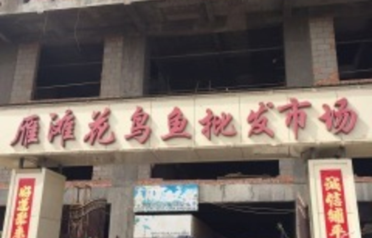 雁滩花鸟鱼批发市场
