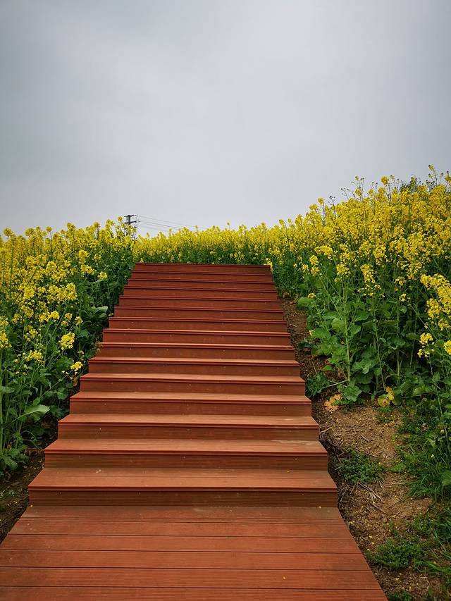 常阴沙生态农业度假区