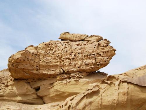 西岭雪山大飞水景区-怪石林