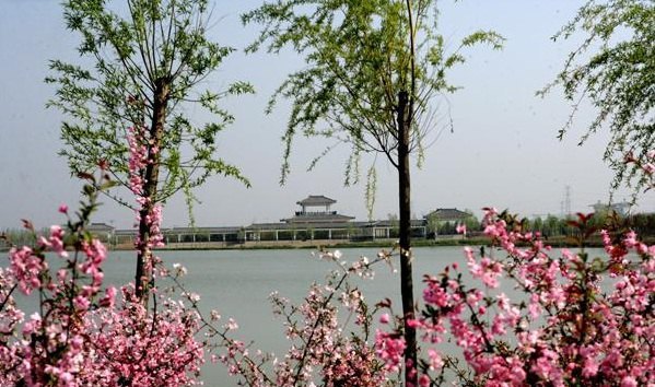 沙沟湖水杉公园