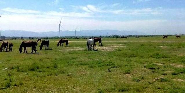 海亮骑士俱乐部