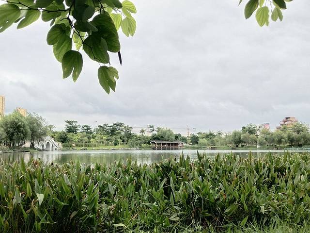 宾阳凤凰湖公园