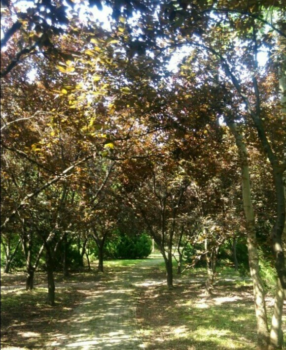 杜行老街消防站