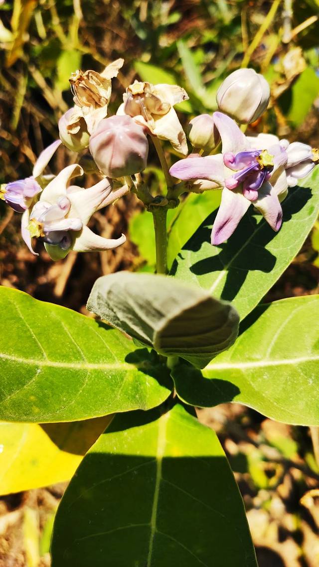 潭门南海风情小镇