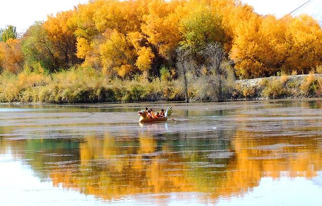 世界胡杨森林公园