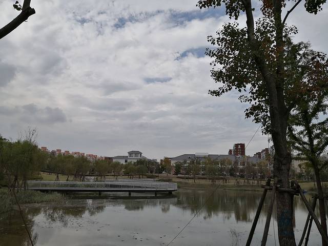 南汇新城芦潮港公园