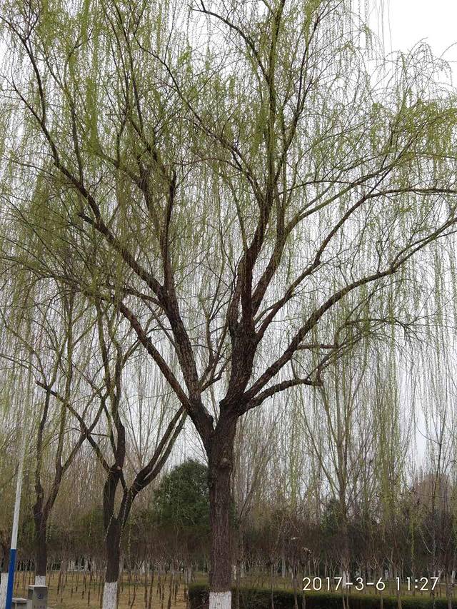 雪儿食屋(盛世商都店)